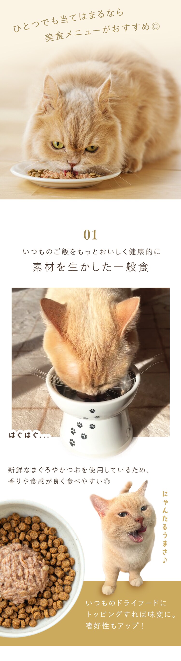 【メール便】美食メニュー まぐろ・かつお 60g&times;3P P-60M&times;3P【代引き不可】1