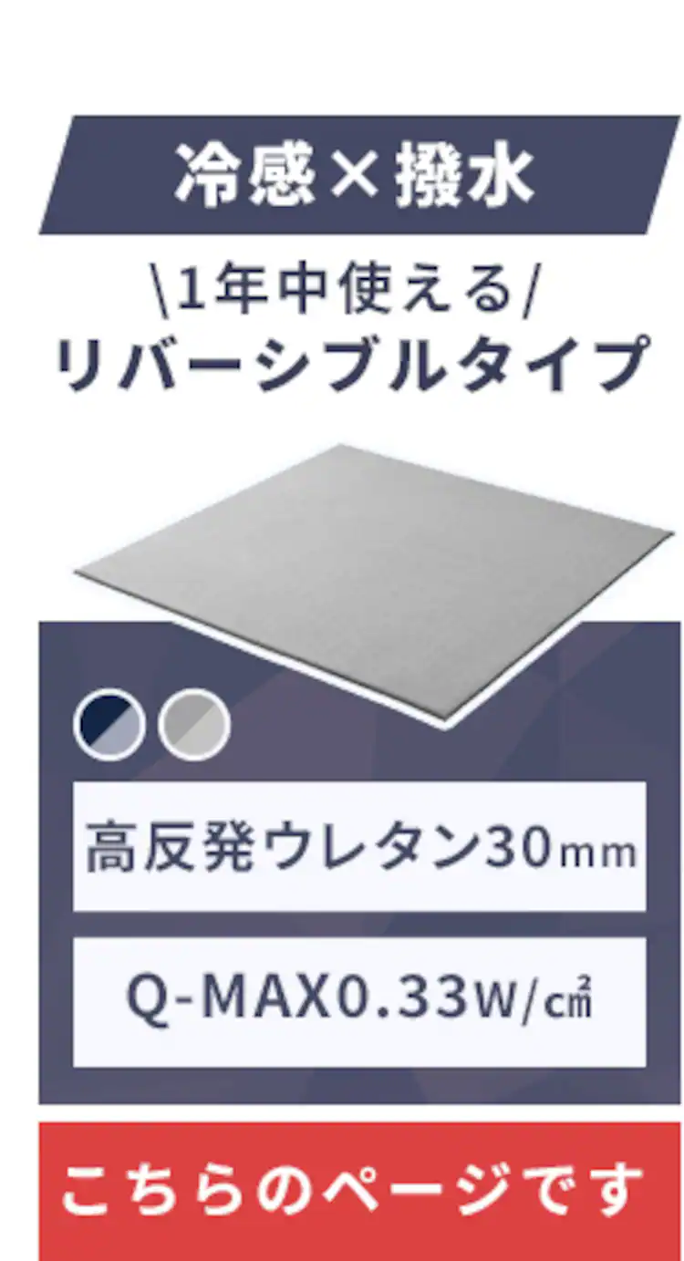 ラグ ラ・クッションラグ リバーシブルタイプ 春夏秋冬使えるラグ 185cm×185cm 2畳 厚さ3cm グレー ACRR-CM18181