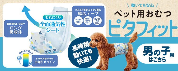 【女の子用】【342枚】犬 おむつ ピタフィット S 57枚入&times;6袋   NPD-S57 犬 おむつ12