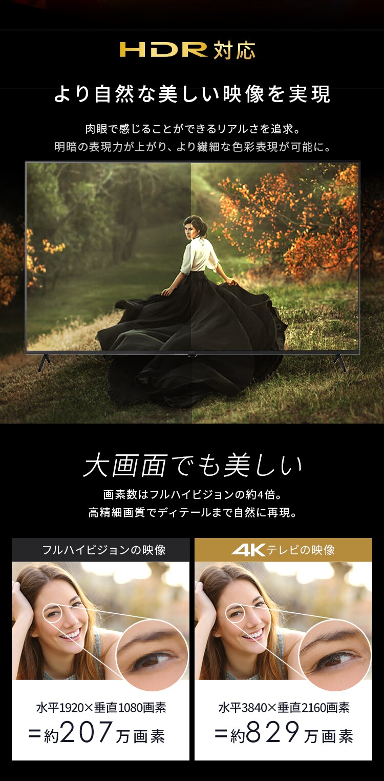 LUCA 液晶テレビ GoogleTV搭載 65V型 設置費込み 4K HDR LT-65UGX-F12