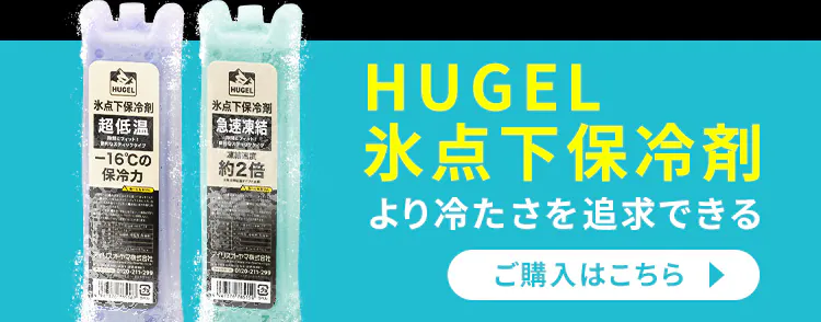 【超低温保冷剤Mサイズセット】HUGEL 2wayエアロゲルソフトクーラーボックス 4L AGSC-4C2 チャコールグレー4