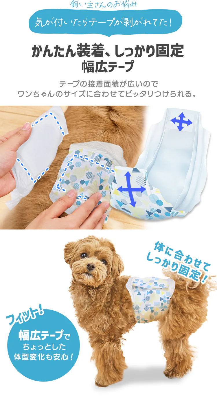 【男の子用】【432枚】犬 おむつ ピタフィット S 72枚入&times;6袋  MNPD-S72 犬 おむつ 4
