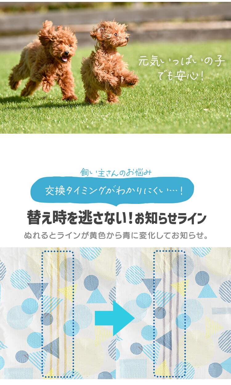 【男の子用】【432枚】犬 おむつ ピタフィット S 72枚入&times;6袋  MNPD-S72 犬 おむつ 8