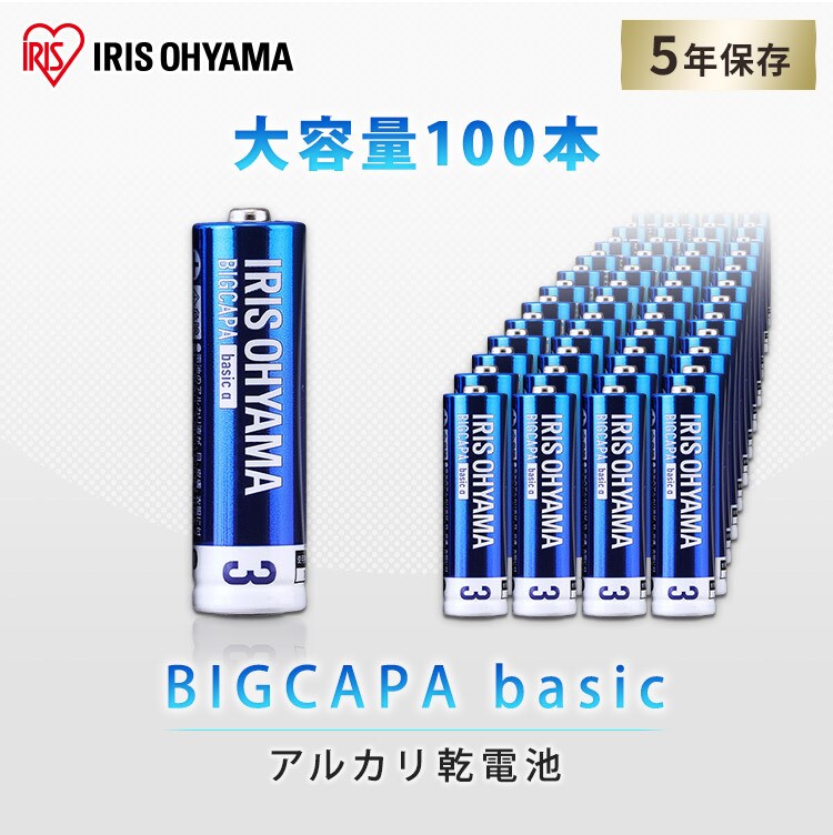 BIGCAPA basic α アルカリ乾電池 単3形×100本セット LR6Bba/100SET