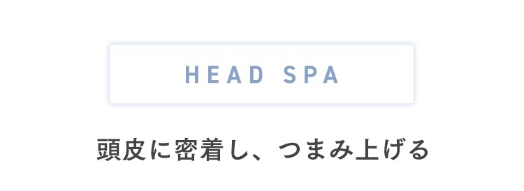 ヘアケアヘッドスパ HSL-M01-A ブルー2