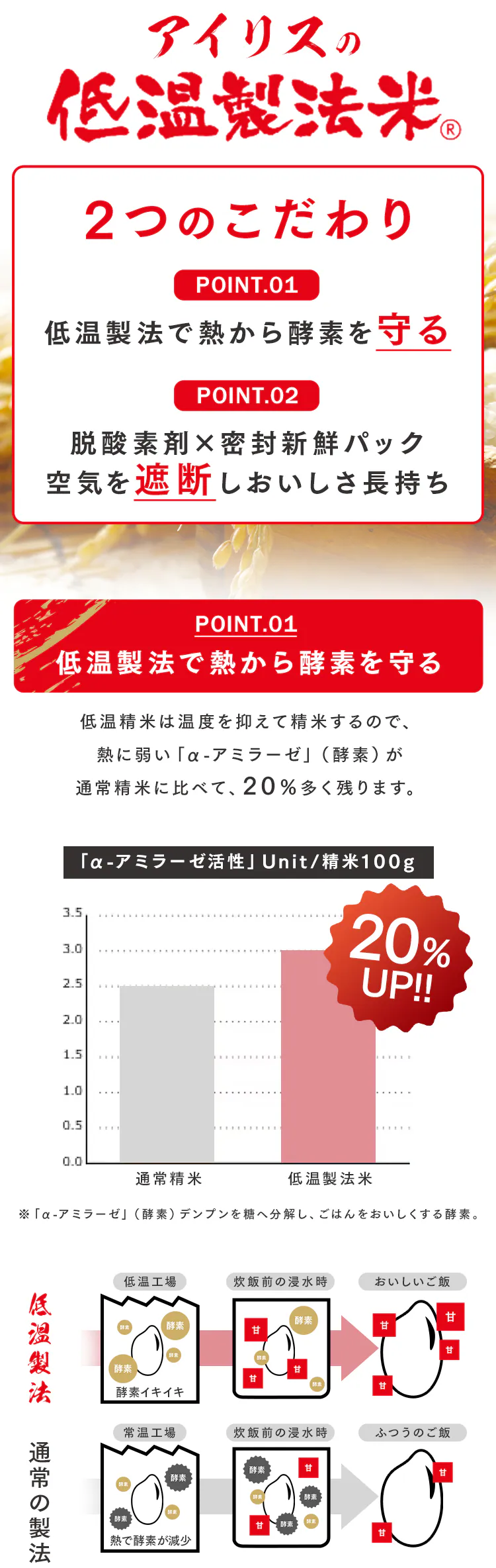 和の輝き おまかせ銘柄米1
