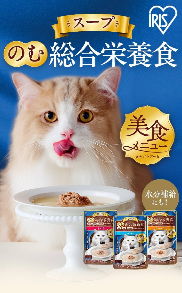 美食メニュー スープ まぐろ P-40SM&times;12P1