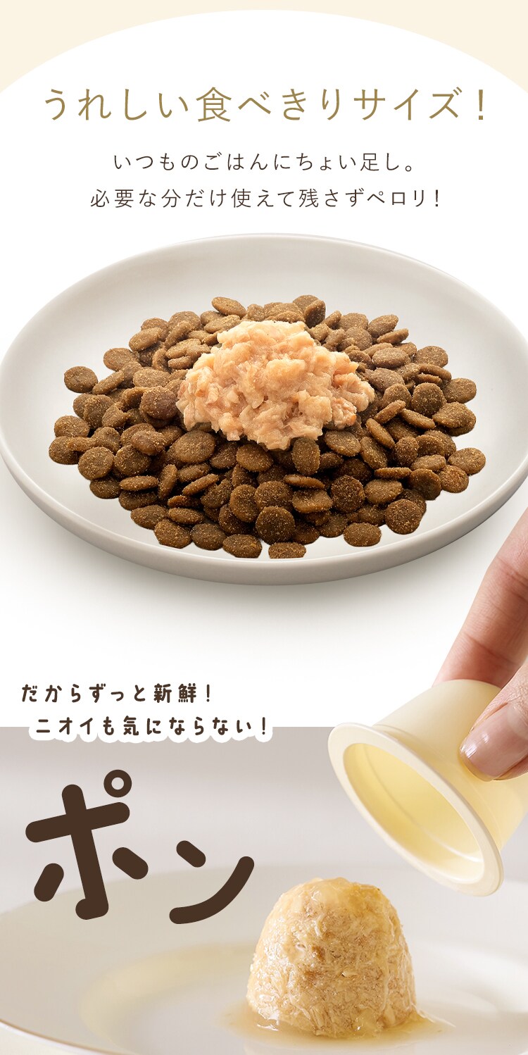 美食メニュー プチ まぐろ  P-22PM&times;4P 1