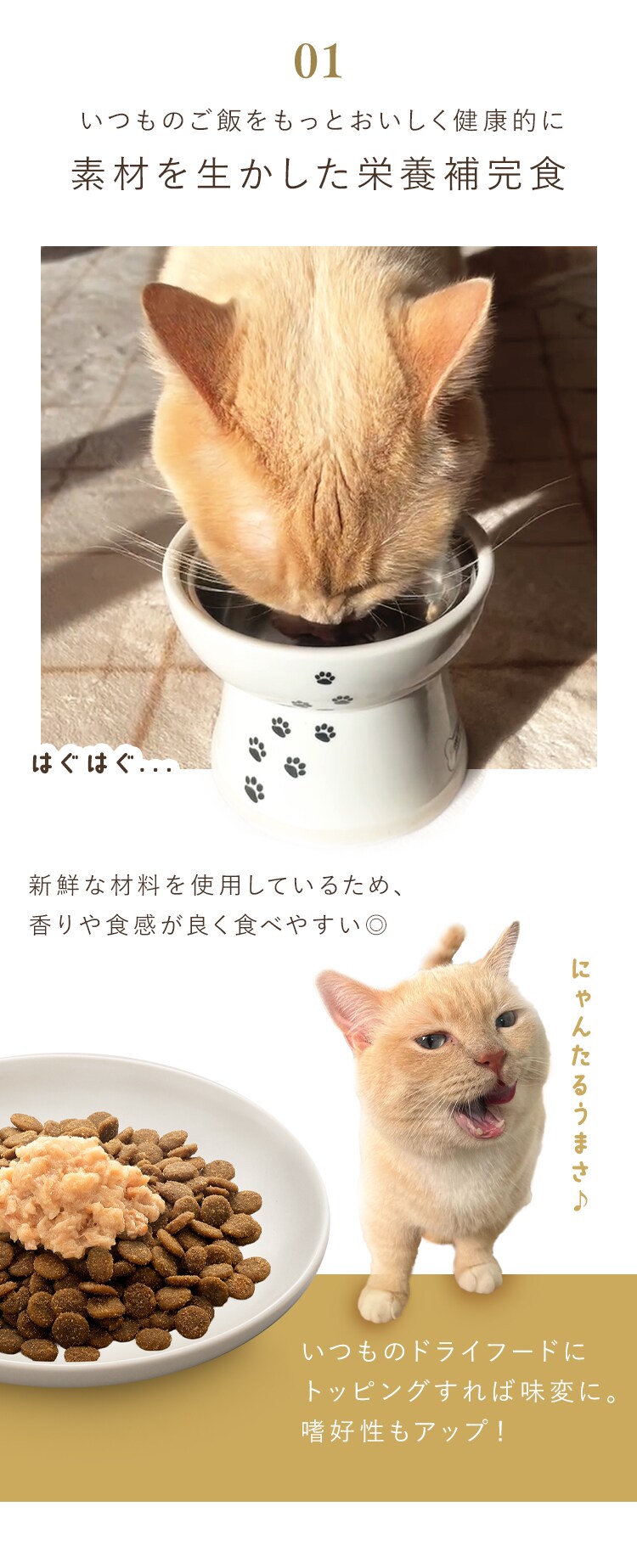 美食メニュー プチ まぐろ  P-22PM&times;4P 3