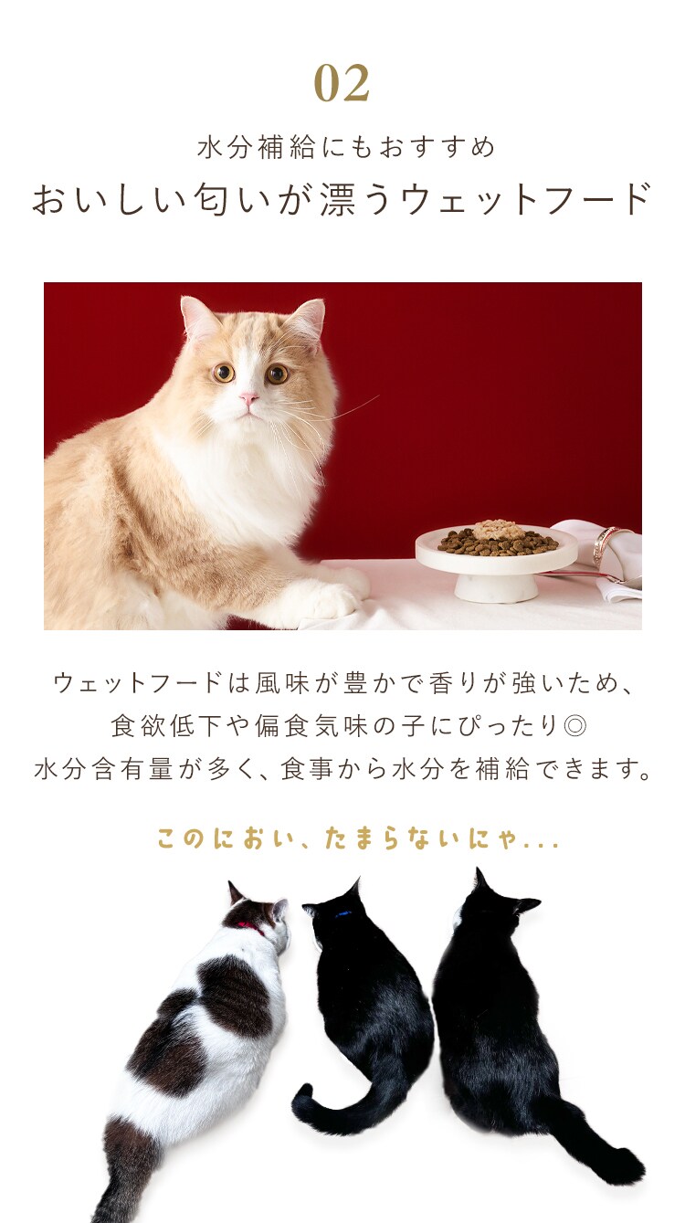 美食メニュー プチ まぐろ  P-22PM&times;4P 4