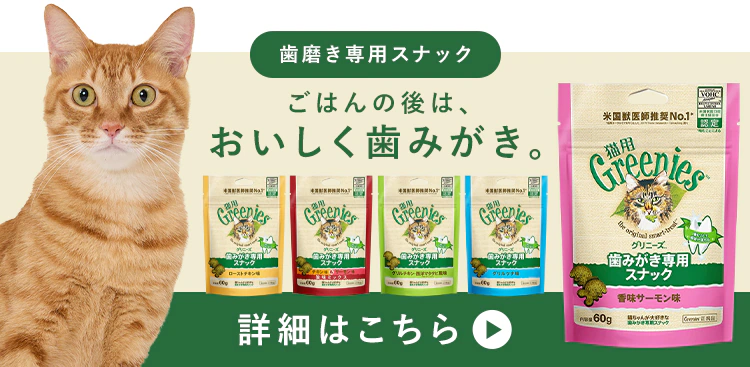 美食メニュー プチ まぐろ P-22PM×4P 10