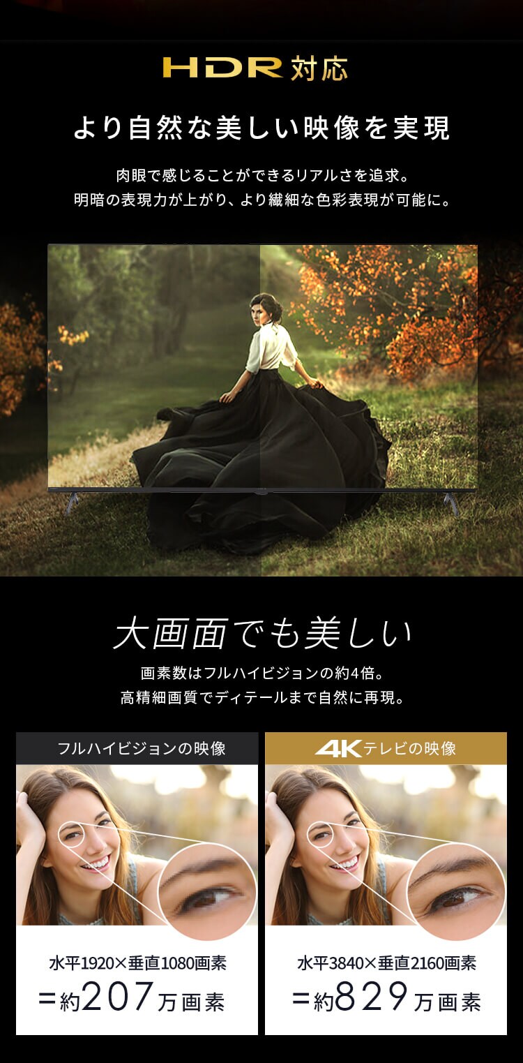 4K スマート液晶テレビ 55V型 LT-55UGX-G1 ブラック2