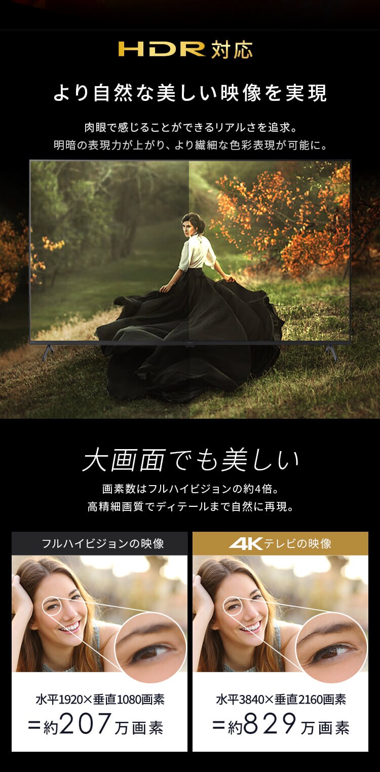 4K スマート液晶テレビ 65V型 LT-65UGX-G1 ブラック2