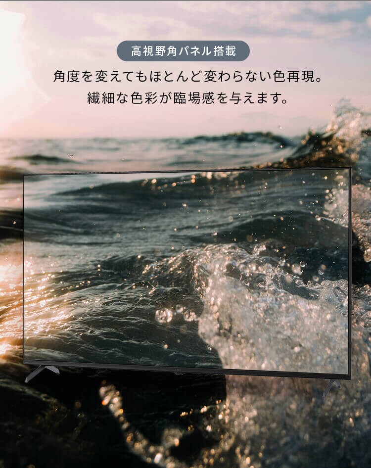 4K スマート液晶テレビ 65V型 LT-65UGX-G1 ブラック3