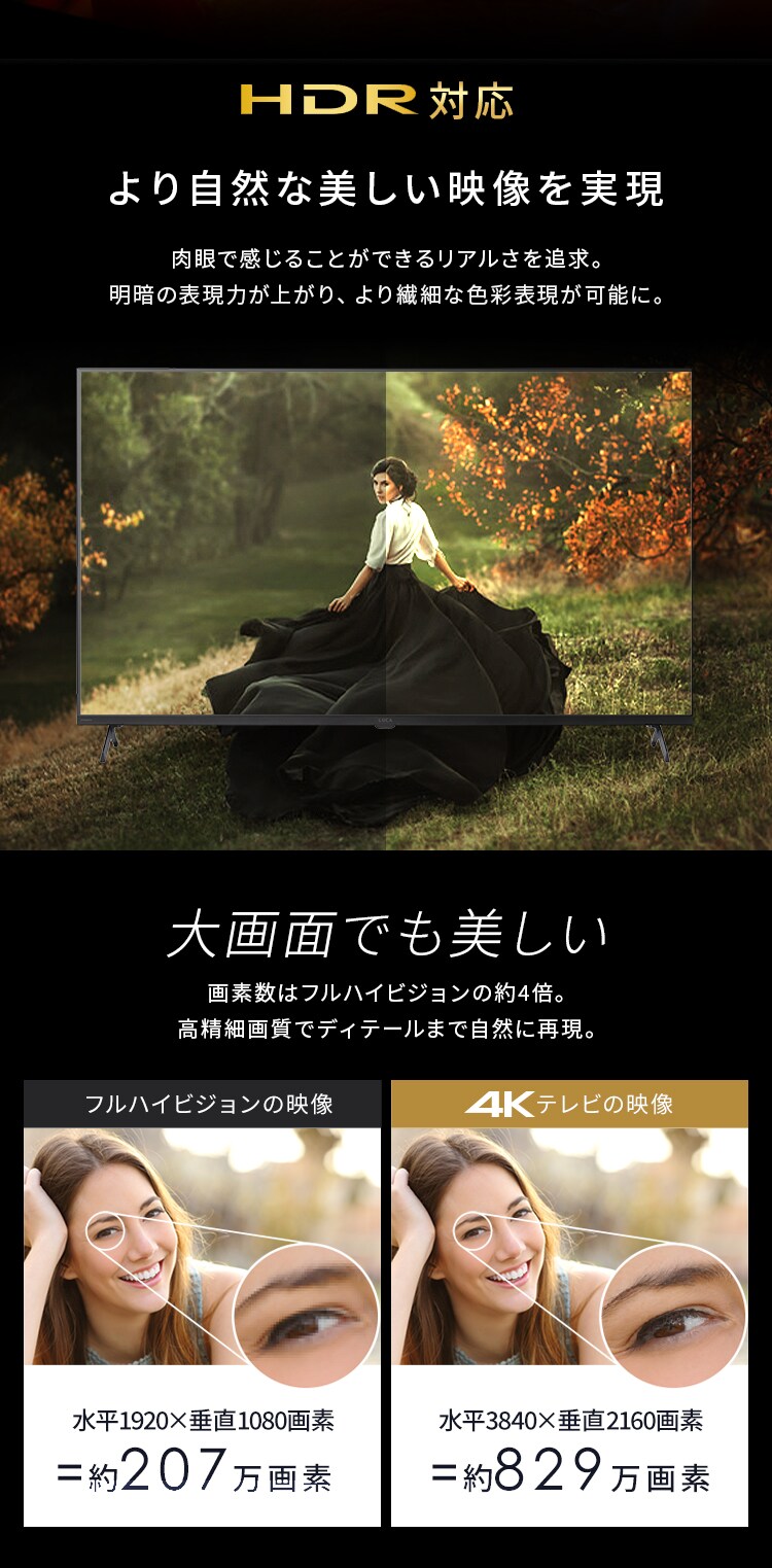 4K スマート液晶テレビ 50V型 LT-50UGX-G1 ブラック2