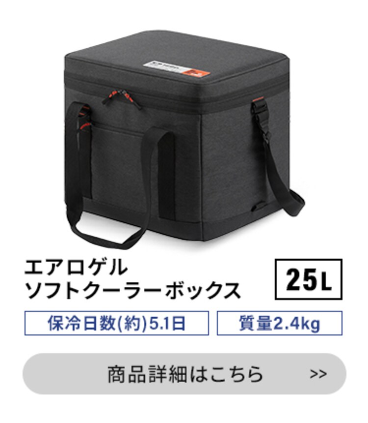 HUGEL エアロゲルソフトクーラーボックス 6L AGSC-6C チャコールグレー11