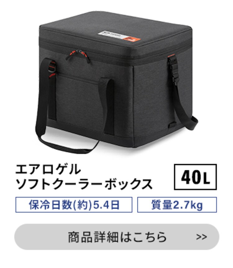 HUGEL エアロゲルソフトクーラーボックス 6L AGSC-6C チャコールグレー12