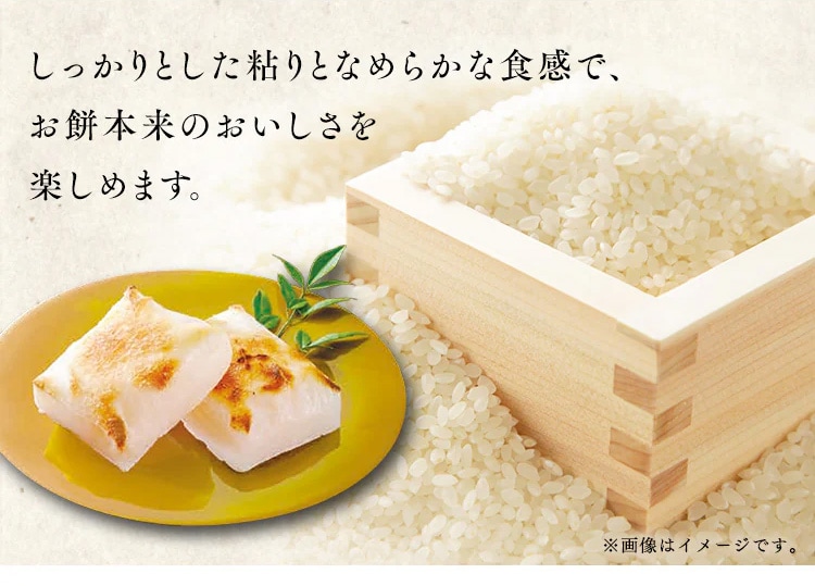 低温製法米の生きりもち 3.6kg(1.8kg×2袋) 1903660 │アイリスオーヤマ