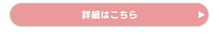 アイリスオーヤマ LDK家具セット 304