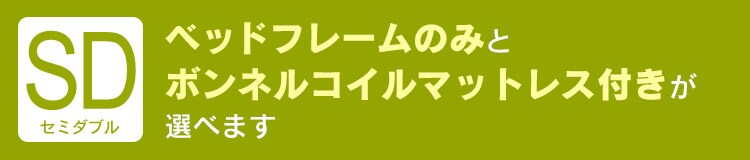 ���o���E�I�E�R���Z���g�t���t���A�x�b�h �Z�~�_�u�� DFBD-SD �I�[�N0