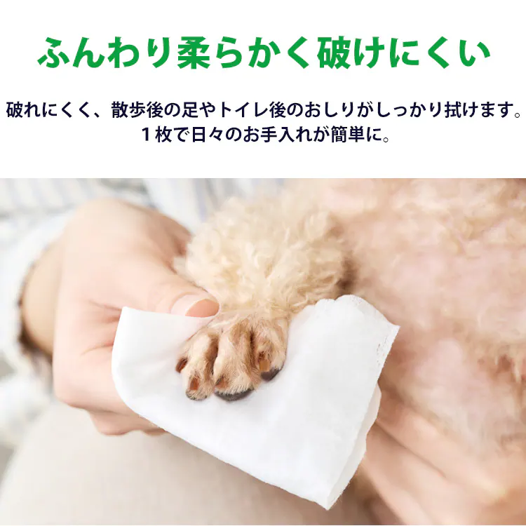 【80枚】＼なめても安心／ノンアルコール 無香料 ペット用ウェットティッシュ 単品 DPWT-1P 80枚1