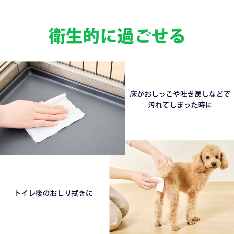 【80枚】＼なめても安心／ノンアルコール 無香料 ペット用ウェットティッシュ 単品 DPWT-1P 80枚3