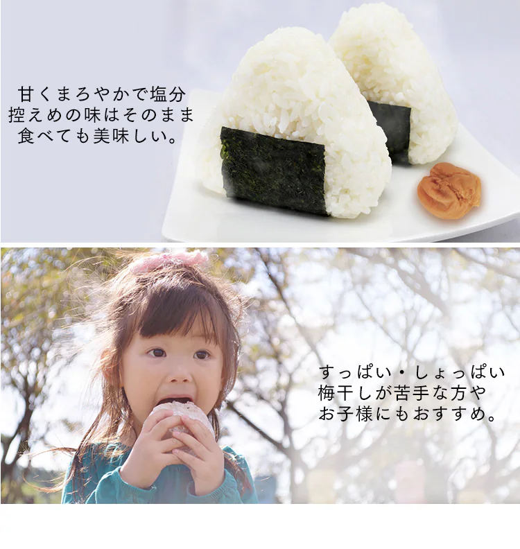 減塩 紀州はちみつ つぶれ梅 塩約3% 400g&times;26