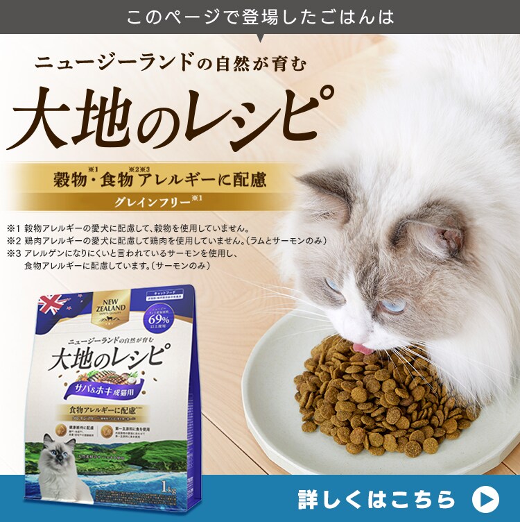 ウッディキャットケージ2段 PWCR-962V ライトグレー12