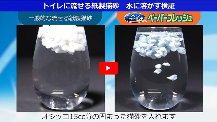 【6袋セット】 ペーパーフレッシュ 9L トイレに流せる 燃やせる 固まる 消臭 PFC93
