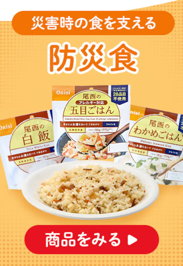 3日間分の女性向け防災セット1人用 JBMH ブラック15