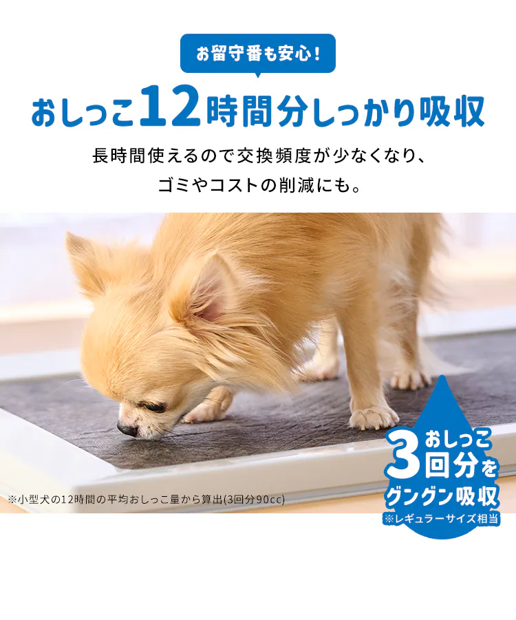 超吸臭ペットシーツ レギュラー 100枚 SCPS-1004