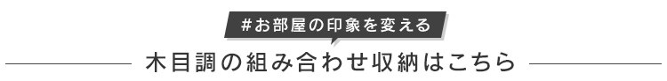 【扉あり/扉なし】カラーキュビック10