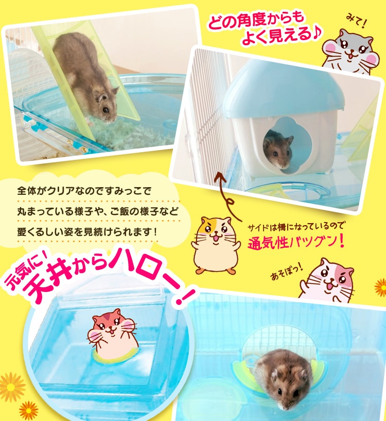 クリアでみやすく通気性バツグン