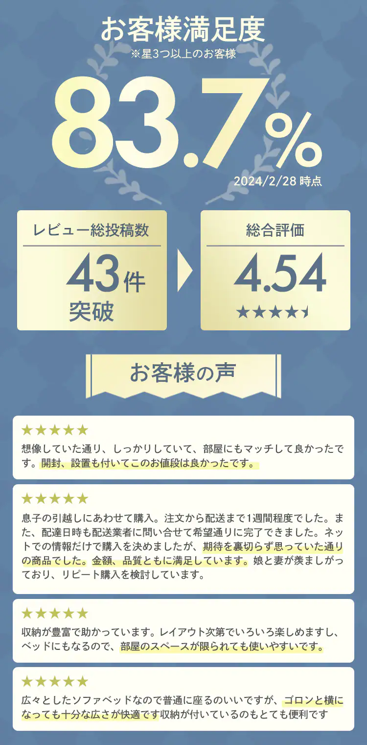 ソファ 2人掛け 収納付き STSB-2110 全3色【時間指定不可】【代引き不可】1