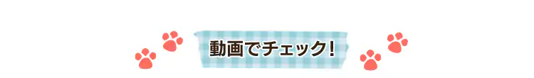 動画でチェック！