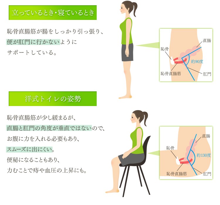 腸の形1