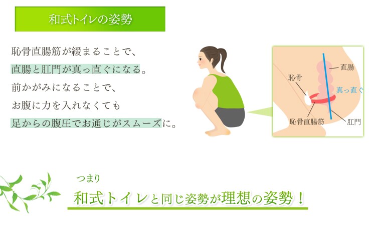 腸の形2