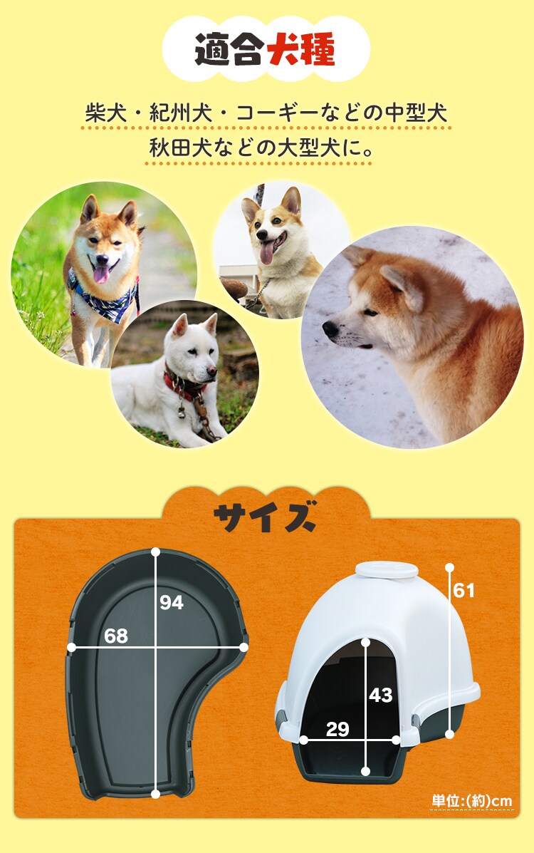 サイズ