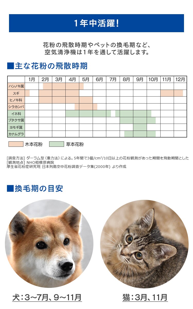 1年中活躍！