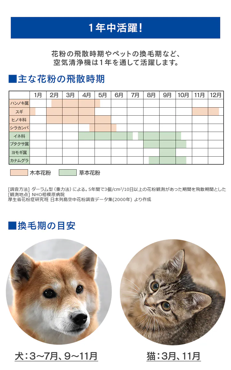 1年中活躍!