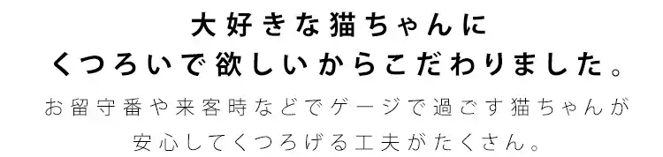 ルーフキャットケージ スリム RFC-704 アイアンブラック4