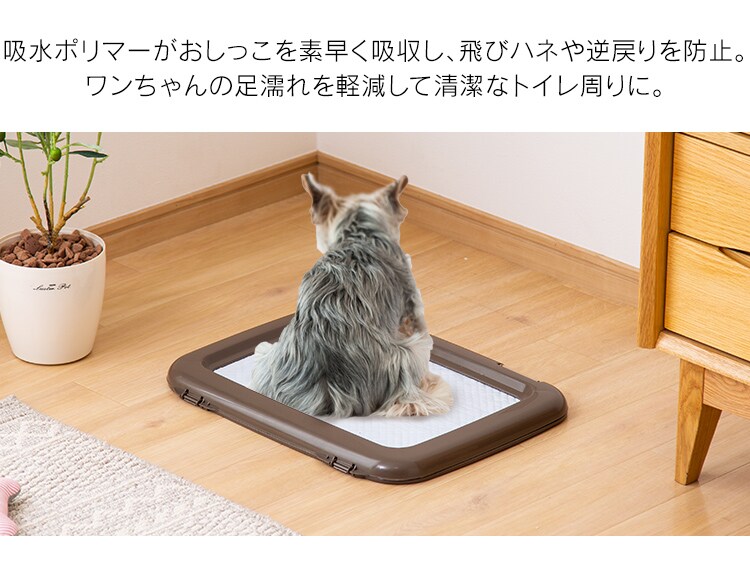 【176枚】 厚型 超吸収ペットシーツ レギュラー 88枚&times;2袋12