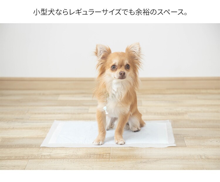 【176枚】 厚型 超吸収ペットシーツ レギュラー 88枚&times;2袋20