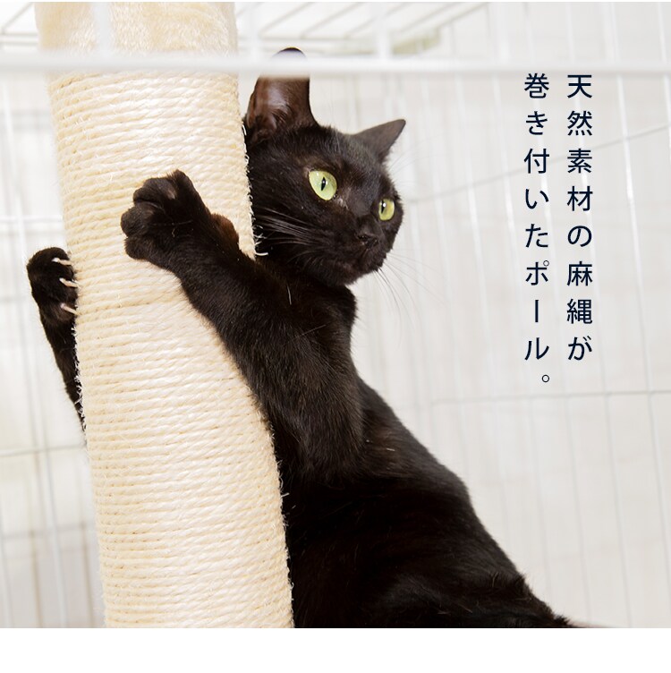 キャットランドケージ用 つめとぎポール PCLC-P530 P284206│アイリス
