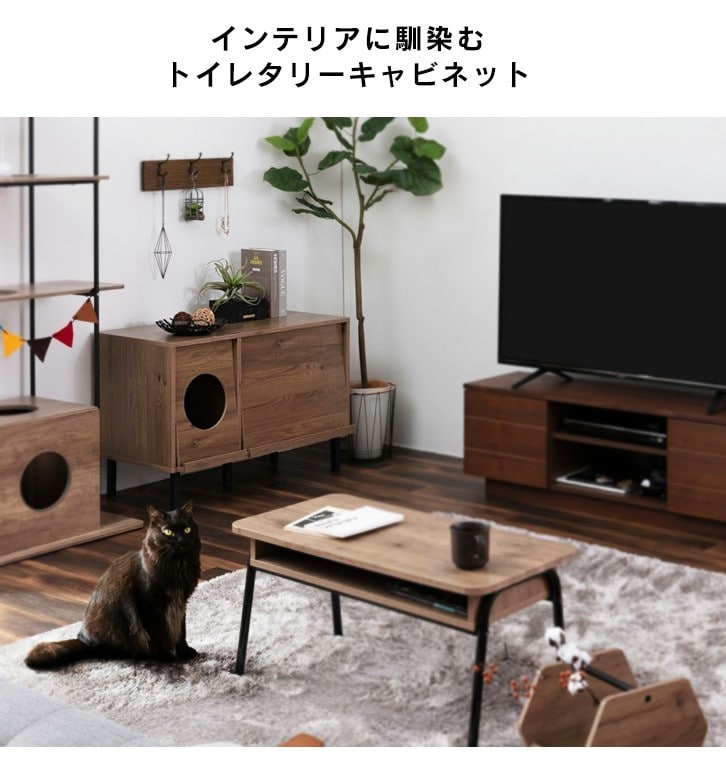 キャット トイレタリーキャビネット CTC-890 アッシュブラウン P288209