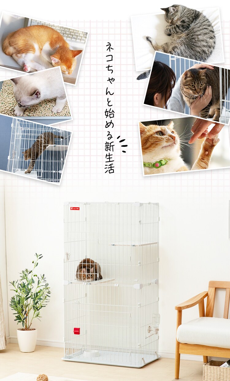 【在庫限り！】キャットスターターセット PCS-752 ホワイト6