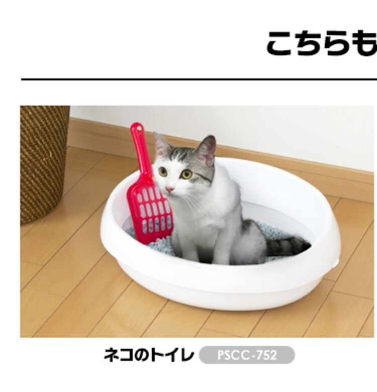 ネコのトイレ