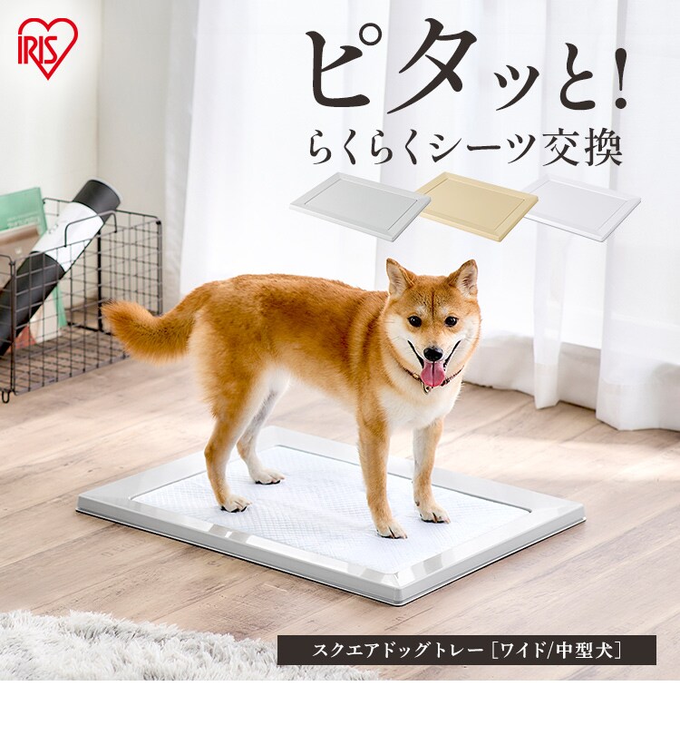SQDT-616Wライトグレー アイリスオーヤマ [スクエアドッグトレー ワイド 磁石でピタッとスクエアドッグトレー ワイド SQDT-616W ライトグレー