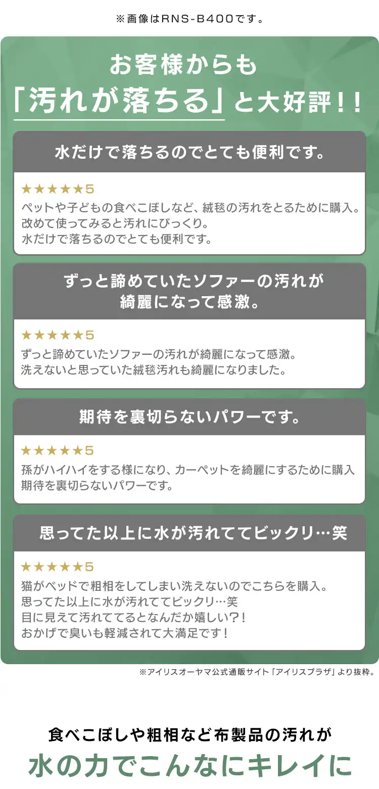 【専用洗剤付き】リンサークリーナー 家庭用 カーペット ソファ 車シート 洗浄機 水洗い シミ取り RNS-30014
