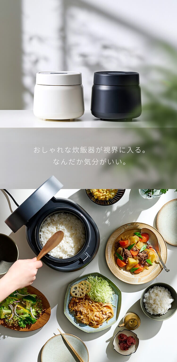 炊飯器 3合 マイコン式 50銘柄炊き RC-MSA30-HA アッシュ1